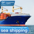 freight forwarding door to door international  sea shipping logistic company